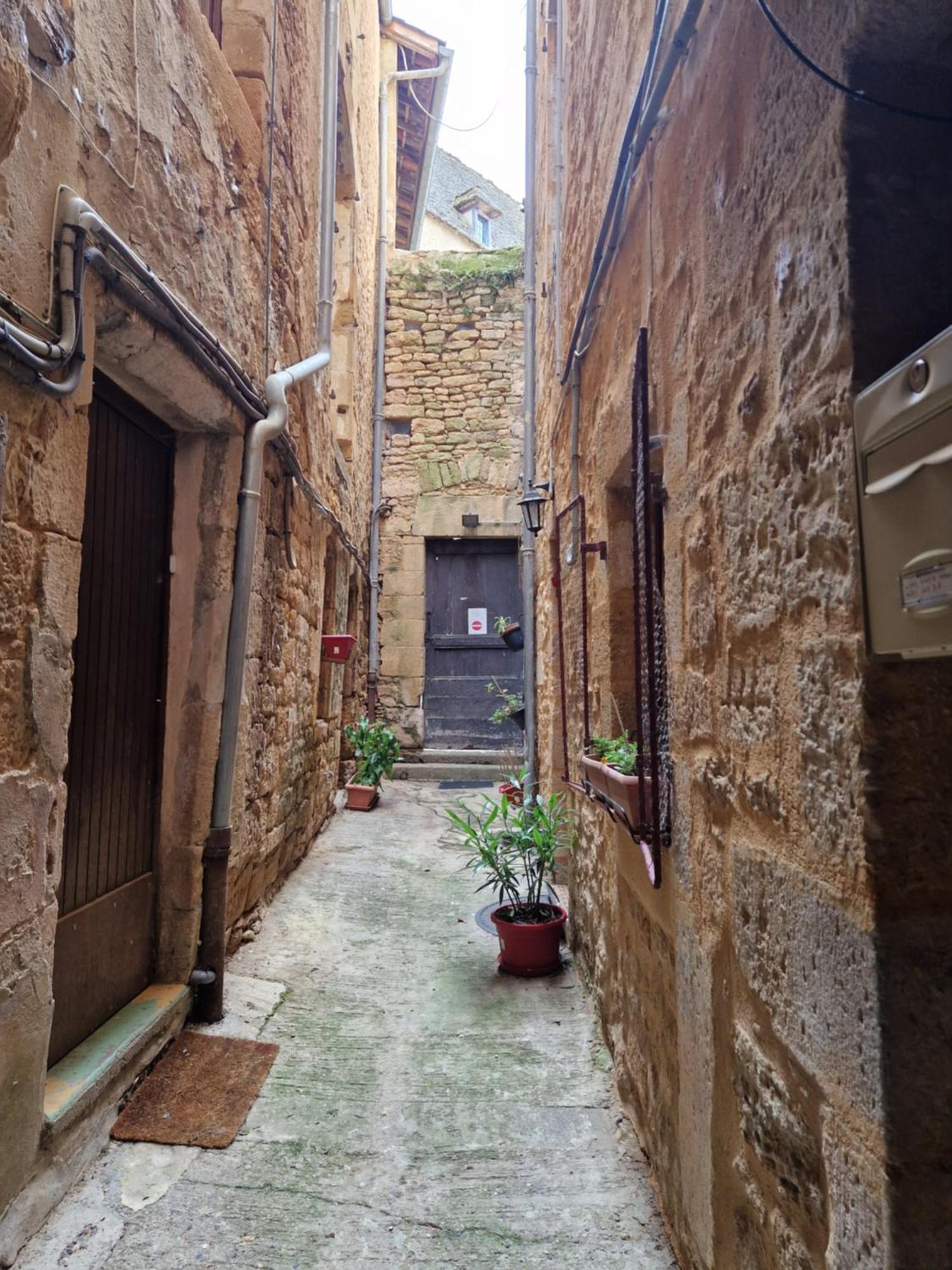 Les Flamboyants Apartment Sarlat-la-Canéda Exterior photo